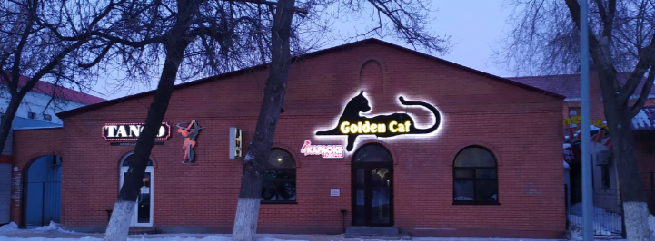 Golden Cat