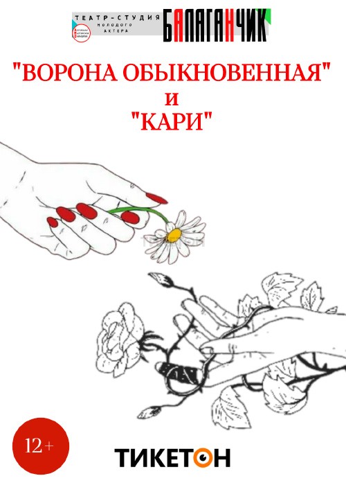 «Кари». «Ворона Обыкновенная»