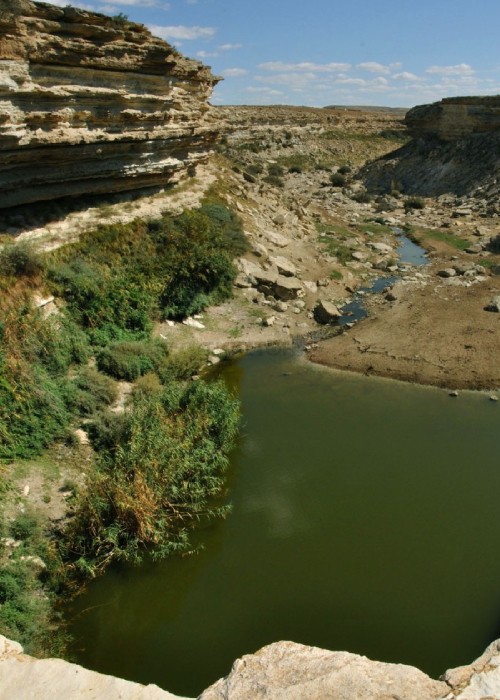 Каньон Саура