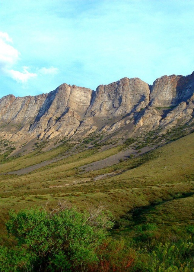 Karatau Nature Reserve